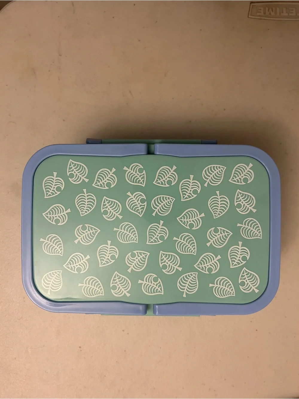 Leaf-Print Meal Prep Container in Green & Blue - Brand Unspecified